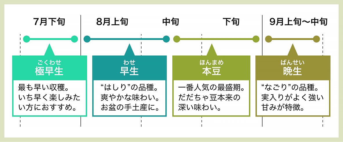 だだちゃ豆の時期