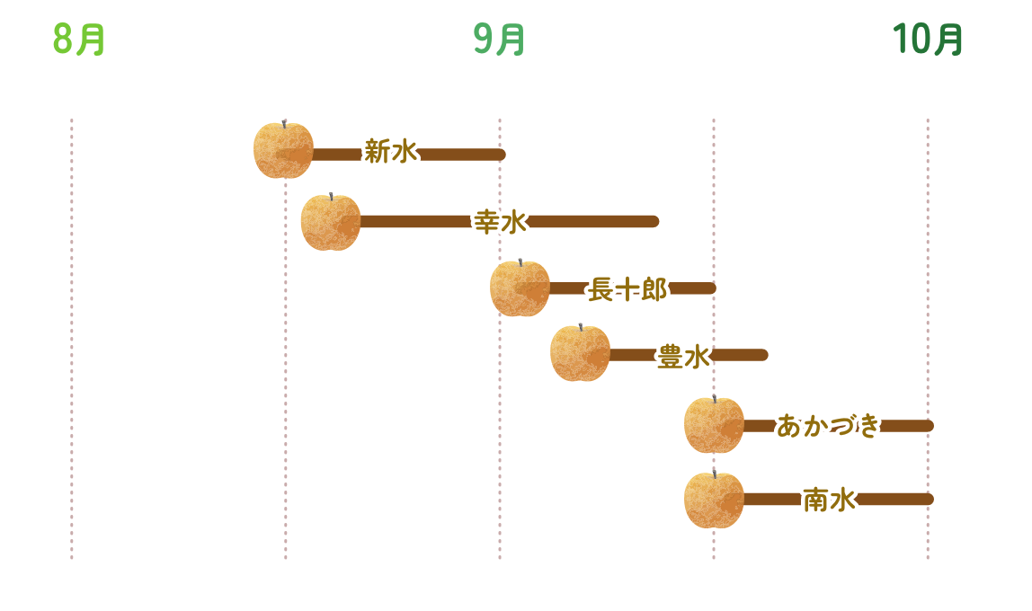 主な品種と収穫時期