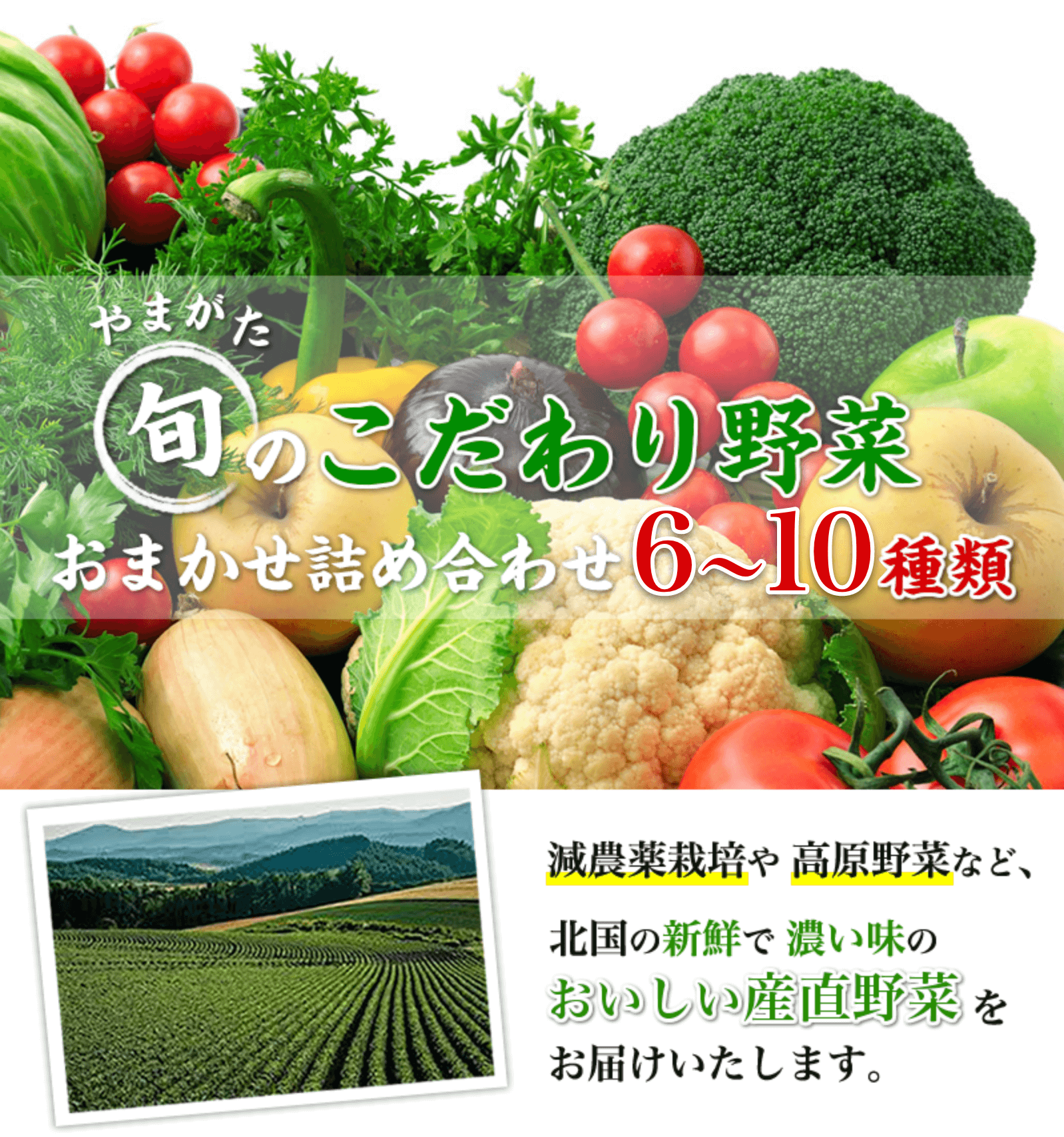 野菜1